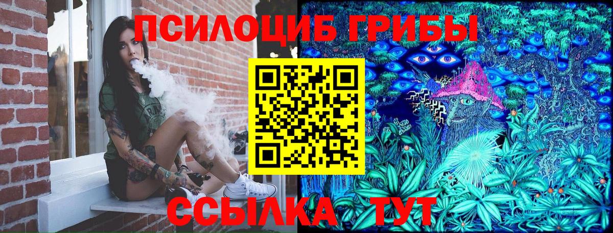 где можно купить   Вход с VPN  Краснокаменск  Галлюциногенные грибы мицелий 